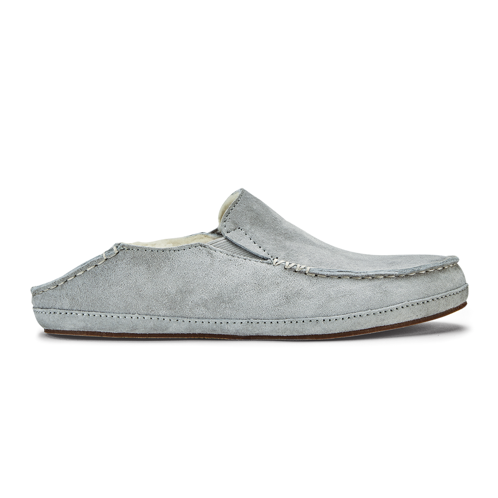Pale Grey Big Image - 2