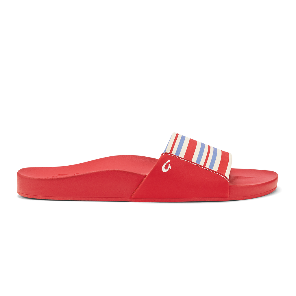 Lehua Flower / Stripe Big Image - 1
